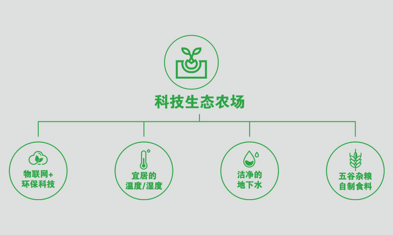 天露生态科技组合天博官网首页（中国）有限公司.jpg