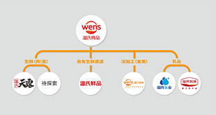 天博官网首页（中国）有限公司品牌架构